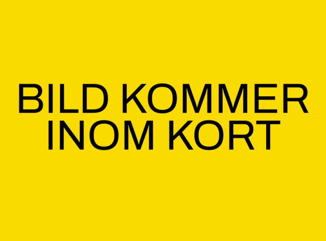 Namnlös (72)